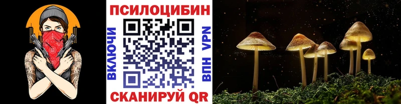 MEGA сайт  Пушкино  дарк нет Telegram  Псилоцибиновые грибы Psilocybine cubensis 